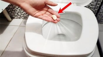 Vì sao nên bỏ một tép tỏi vào bồn cầu trước khi đi ngủ?
