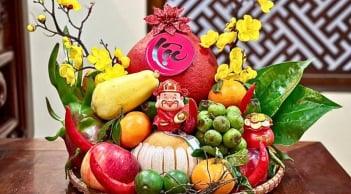 Cây đu đủ tượng trưng cho sự đủ đầy: Có nên trồng trước nhà để hút tài lộc, đón may mắn?