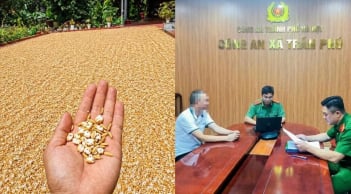Bị phạt 7,5 triệu đồng vì đăng ảnh chế thóc phơi ngoài trời nổ thành bỏng