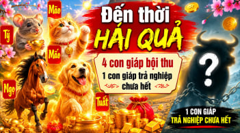 Dự báo 4 con giáp Đến Thời Hái Quả, 1 tuổi trả nghiệp chưa hết