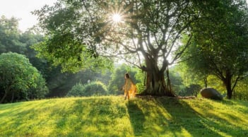 Không gian sống chữa lành: Xu hướng kiến trúc và du lịch xanh hiện đại