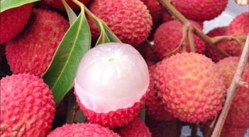 Mẹo bảo quản vải thiều cả tháng vẫn tươi ngon, không bị thâm vỏ hay chảy nước