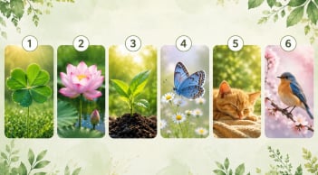 Quiz: Chọn 1 hình ảnh để khám phá: Trong mắt người khác, bạn có phải là người đáng tin tưởng?
