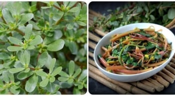 4 loại rau củ mùa hè vừa ngon vừa sạch: Giá rẻ nhưng dinh dưỡng cực cao, không lo thuốc trừ sâu