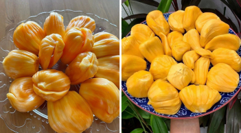 5 người tuyệt đối không nên ăn quả mít dù thèm đến mấy