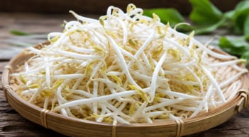Cách phân biệt giá đỗ có nguy cơ nhiễm hoá chất