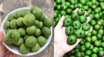 Mẹo bảo quản sâu tươi, để cả năm vẫn giữ nguyên hương vị, ngon như mới mua