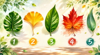 Quiz: Chọn 1 chiếc lá bạn thích để khám phá tài năng còn đang ngủ quên