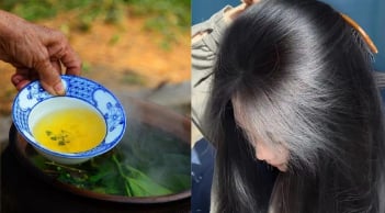 Cách gội đầu bằng nước chè xanh làm sạch gàu, giảm bết, tóc con mọc tua tủa