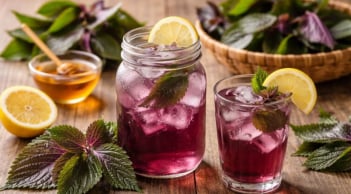 Người mắc 1 trong 5 bệnh này uống nước lá tía tô rất hại