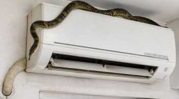 Cách phòng tránh rắn, chuột chui vào điều hòa