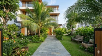 Nên trồng cau hay dừa cảnh trước nhà? Loại nào phù hợp hơn với sân nhỏ?