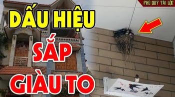 4 con vật vào nhà báo điềm lành: Thần Tài ghé thăm đừng dại đuổi đi