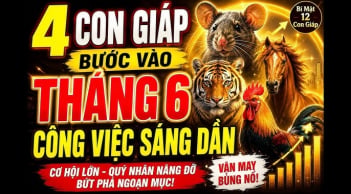 Chúc mừng 4 con giáp nhận tin tốt công việc xuôi thuận