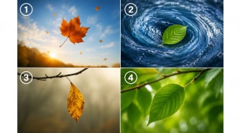 Quiz: Chọn chiếc lá khiến bạn ấn tượng nhất để khám phá sức mạnh nội tâm của bạn mạnh đến đâu
