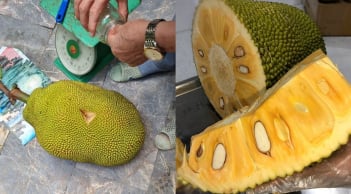 Mẹo chọn mít chín cây ngọt tự nhiên, thơm nức mũi