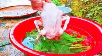 Mẹo nhổ lông vịt cực dễ, không còn một cọng lông măng chỉ trong 10 phút