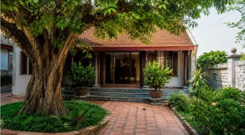 Người xưa nhắc nhở: 3 loại cây không nên trồng trước nhà kẻo hao tài tốn sức