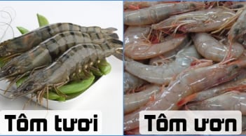 Chọn tôm cứ nhìn vào điểm này biết ngay con nào tươi con nào không nên mua phí tiền