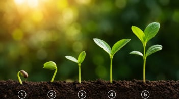 Quiz: Chọn 1 cây non để khám phá: Cuộc sống của bạn đang trên đà khởi sắc hay sắp gặp thử thách?