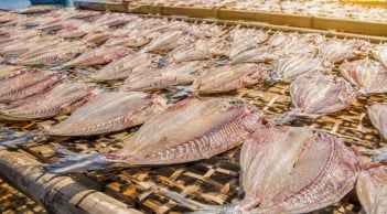 Ăn nhiều 6 loại cá này có thể tăng nguy cơ ung thư nhưng vẫn nhiều người thích ăn