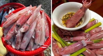 Mực tươi nên hấp hay luộc nước sẽ ngon hơn?