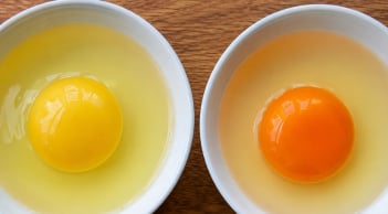 Lòng đỏ trứng càng đậm màu có phải càng bổ không?