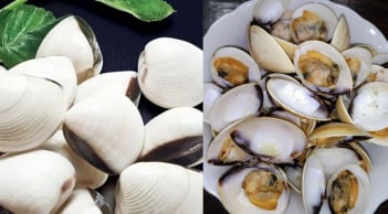 Mẹo để ngao nhả sạch cát nhanh: Đừng chỉ ngâm nước, nhiều người đang làm sai từ bước đầu