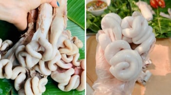Luộc tràng lợn bao nhiêu phút thì chín? Ăn vừa giòn vừa thơm, trắng bong đẹp mắt