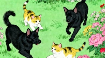 Nửa cuối tháng 6: 3 con giáp ra đường nên giữ bình tĩnh, tranh cãi nhỏ có thể kéo theo rắc rối lớn
