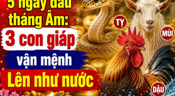 5 ngày đầu tháng Âm: 3 con giáp vận mệnh Lên như nước