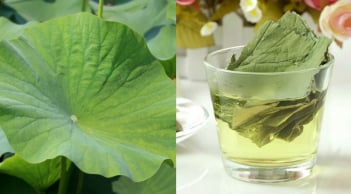 Cách uống nước lá sen giảm cân hiệu quả, bụng phẳng không mỡ thừa