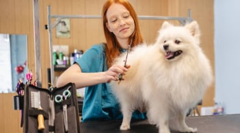 Câu chuyện phía sau thị trường chăm sóc thú cưng đang bùng nổ