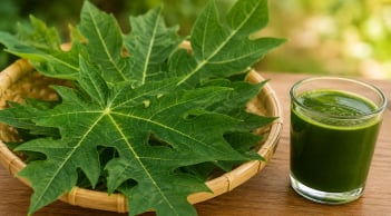 Lá đu đủ có công dụng gì? Những trường hợp không nên dùng tùy tiện