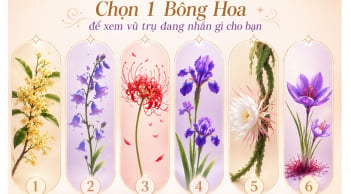 Chọn bông hoa yêu thích nhất để xem vũ trụ đang gửi tới bạn lời nhắn gì