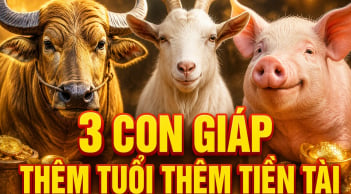 Tích phúc đức về già: 3 con giáp thêm tuổi thêm Tiền Tài