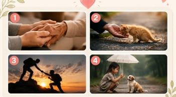 Chọn 1 hình ảnh để xem bạn có giàu lòng trắc ẩn không?