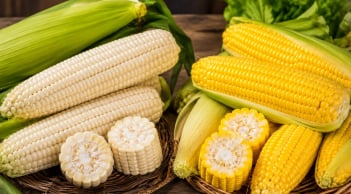 Ngô nếp trắng hay ngô ngọt vàng bổ dưỡng hơn? Nên chọn loại nào?