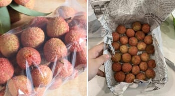 Vải sắp hết mùa: Đây là cách bảo quản vải tươi lâu cả tháng, không bị thối hỏng