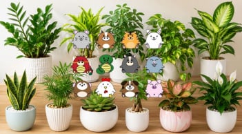 Gợi ý chọn cây cảnh phong thủy phù hợp cho từng con giáp để hút tài lộc, tạo không gian sống hài hòa