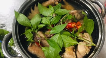 Luộc gà muốn chín đều, ngọt thịt cứ cho thêm nắm lá này