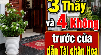 3 Thấy và 4 Không trước cửa dẫn Tài chặn Họa