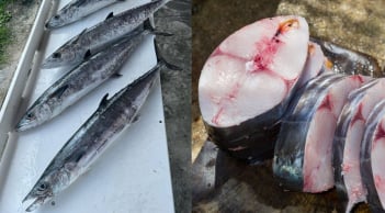 4 loại cá chứa nhiều thủy ngân, không nên ăn nhiều