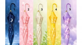 Chọn 1 chiếc ô che mưa bạn muốn dùng nhất: Điều thú vị nào sắp tìm đến với bạn?