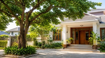 Vì sao người xưa lại rất sợ cây lớn ở trước nhà? Không chỉ là mê tín, còn có nhiều lý do thực tế