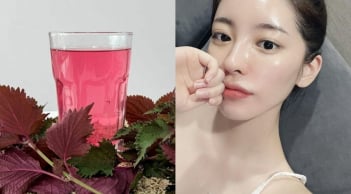 Cách dùng nước lá tía tô rửa mặt giúp mờ thâm nám, giảm mụn ẩn, làm da sáng mịn