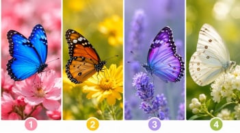 Chọn 1 cánh bướm để khám phá vận sắp tới: Cơ hội, tài lộc hay bất ngờ đang chờ bạn?