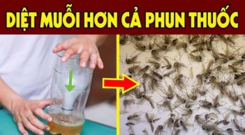 Trộn bột giặt với bia có công dụng gì?