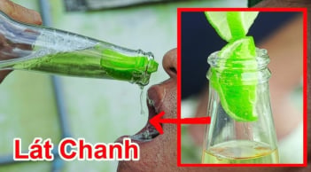Tại sao nhiều người thích thả vài lát chanh tươi vào cốc bia?