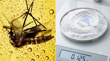 Đuổi muỗi hiệu quả chỉ với bia và bột giặt: Mẹo cực hay không cần dùng hóa chất